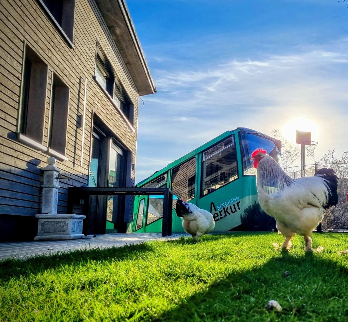 Exklusives Ferienhaus mit Bergbahn / Schwarzwald