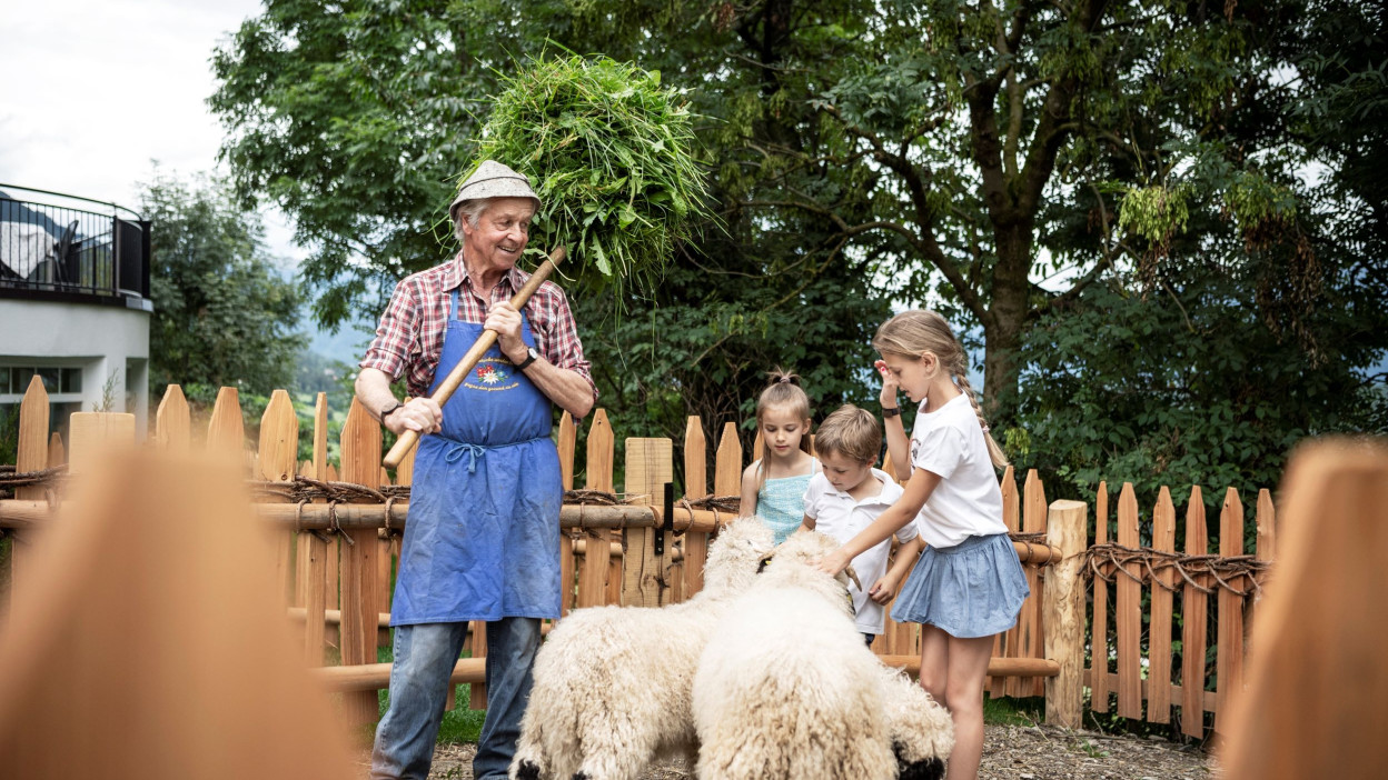 Entdecker Hotel Panorama