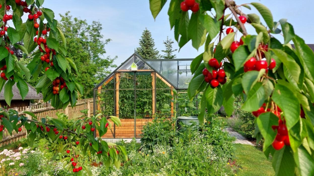 Herzstück Erzgebirge