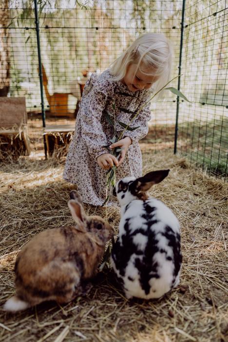 Urlaub mit Herz im Harz