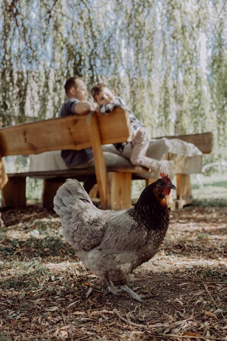 Urlaub mit Herz im Harz