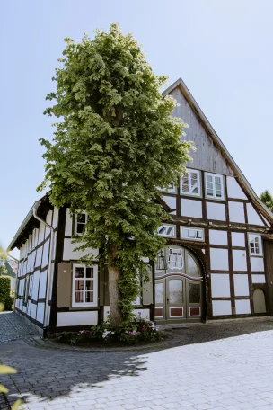Tonis Traumhaus